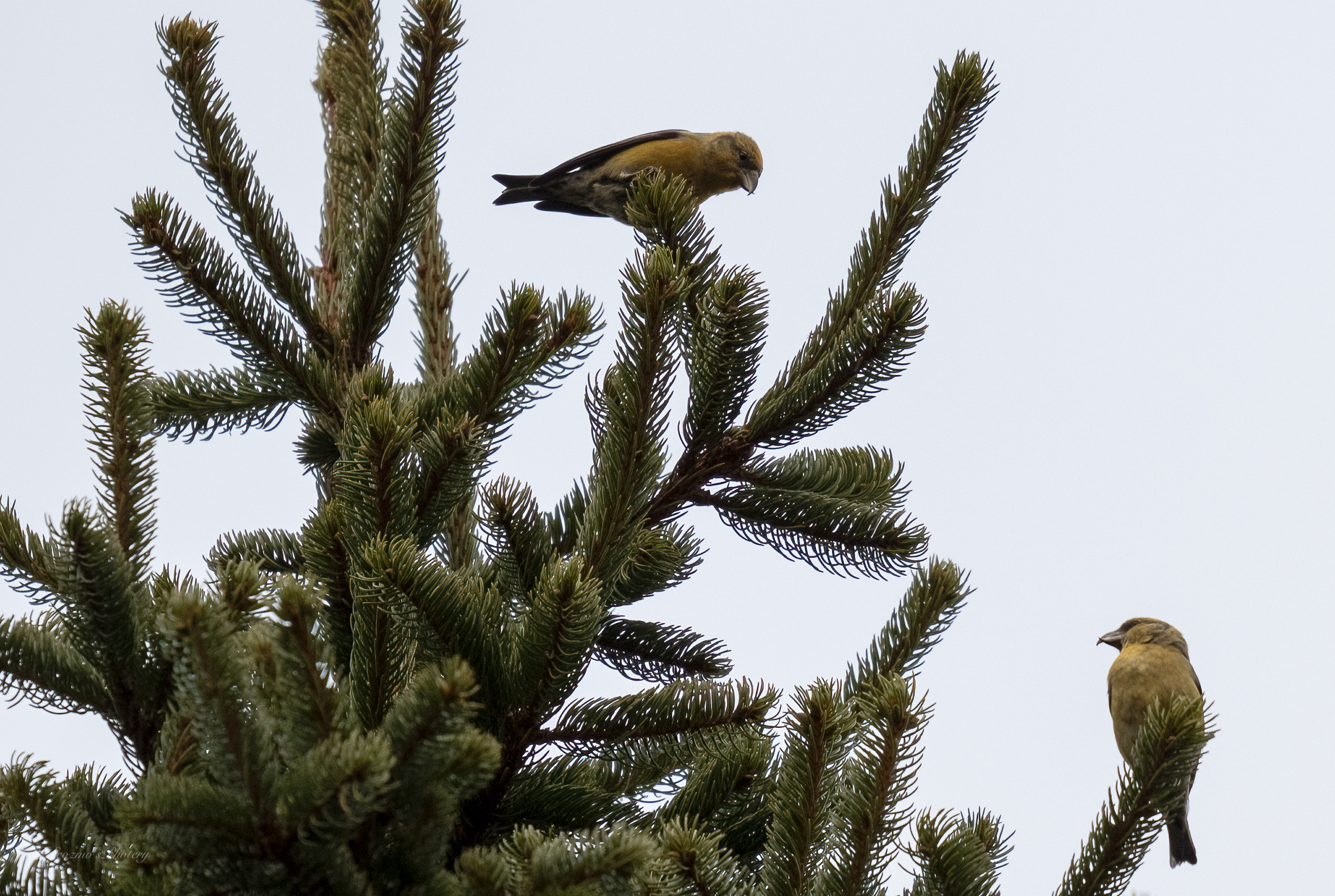 A New Year’s Day&nbsp;wander