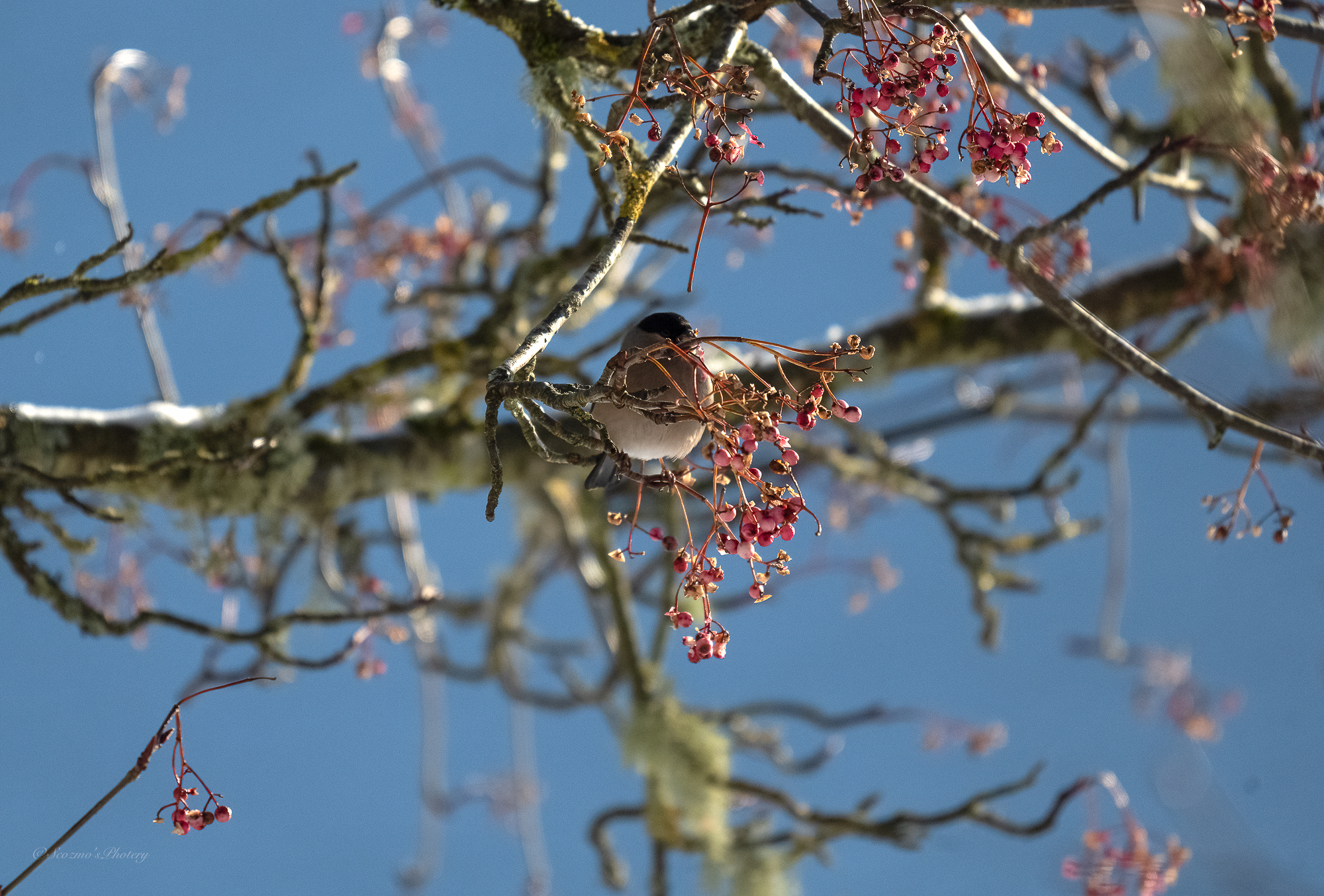 First visit since New Year’s&nbsp;Day