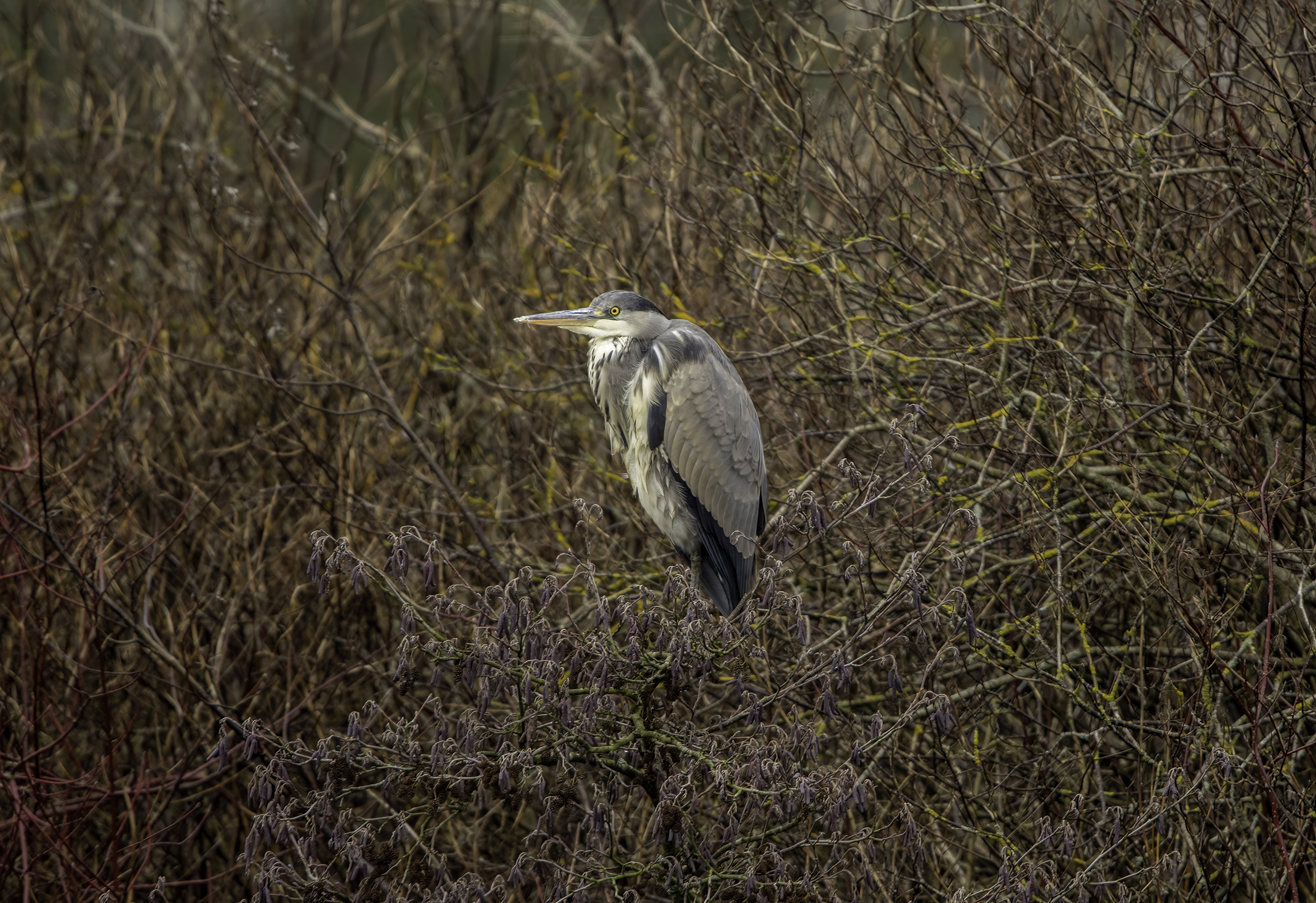 Photo Memories – Castle View Pond Photo Memories – Castle View Pond