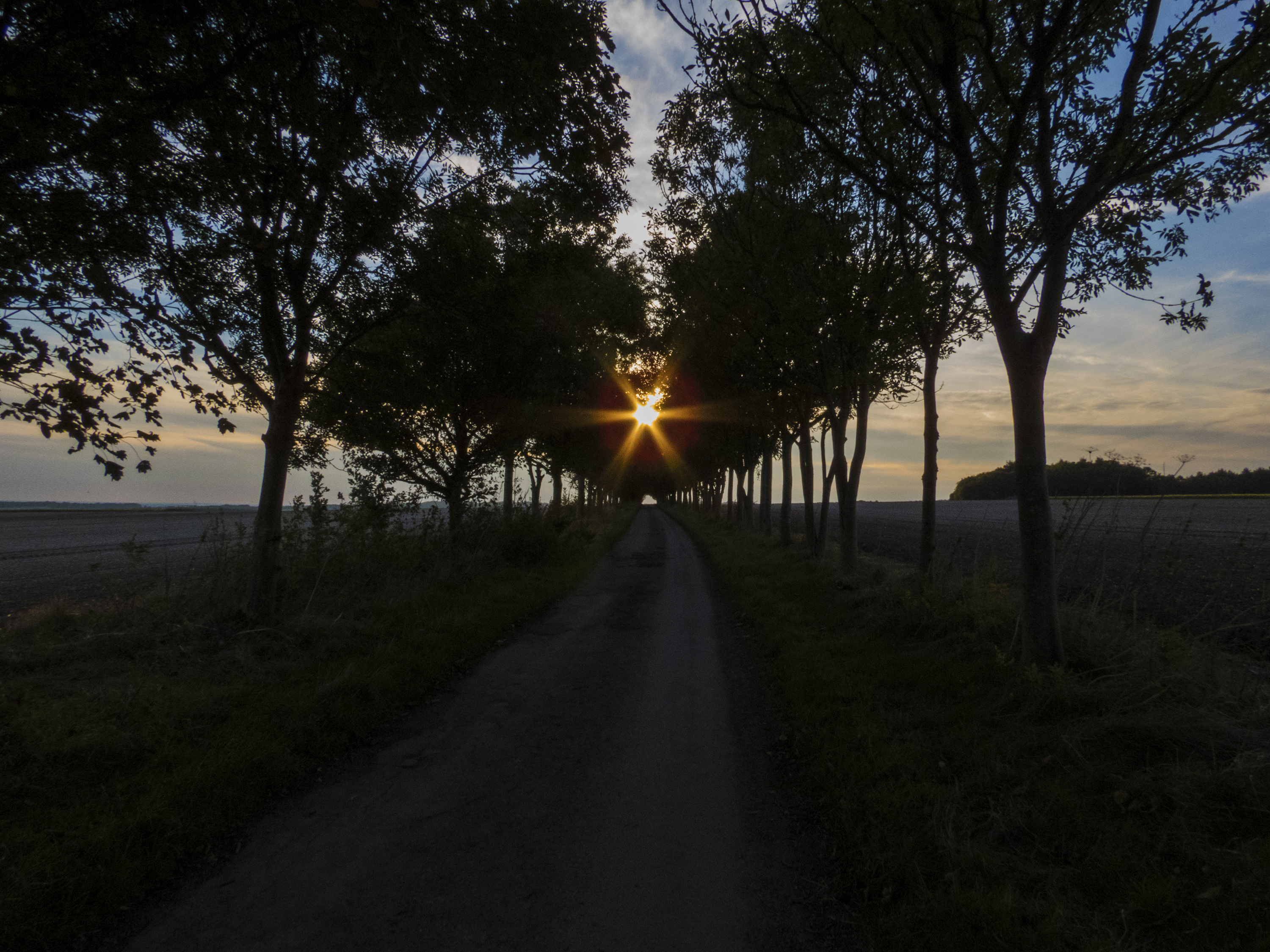 A girl on a&nbsp;horse