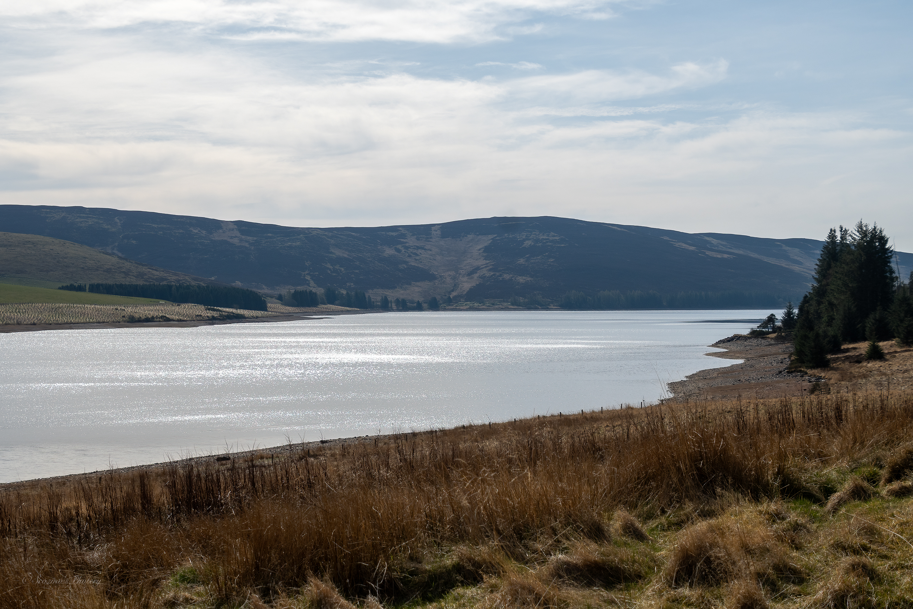 Kite a walk Pt.&nbsp;2