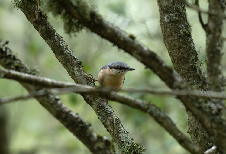 August and all&nbsp;that