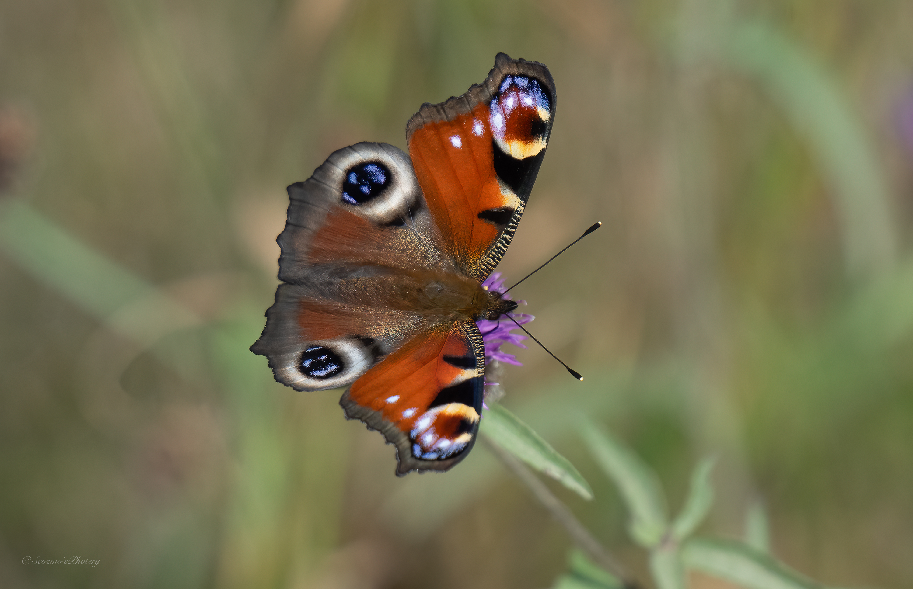 August and all that Pt.&nbsp;2