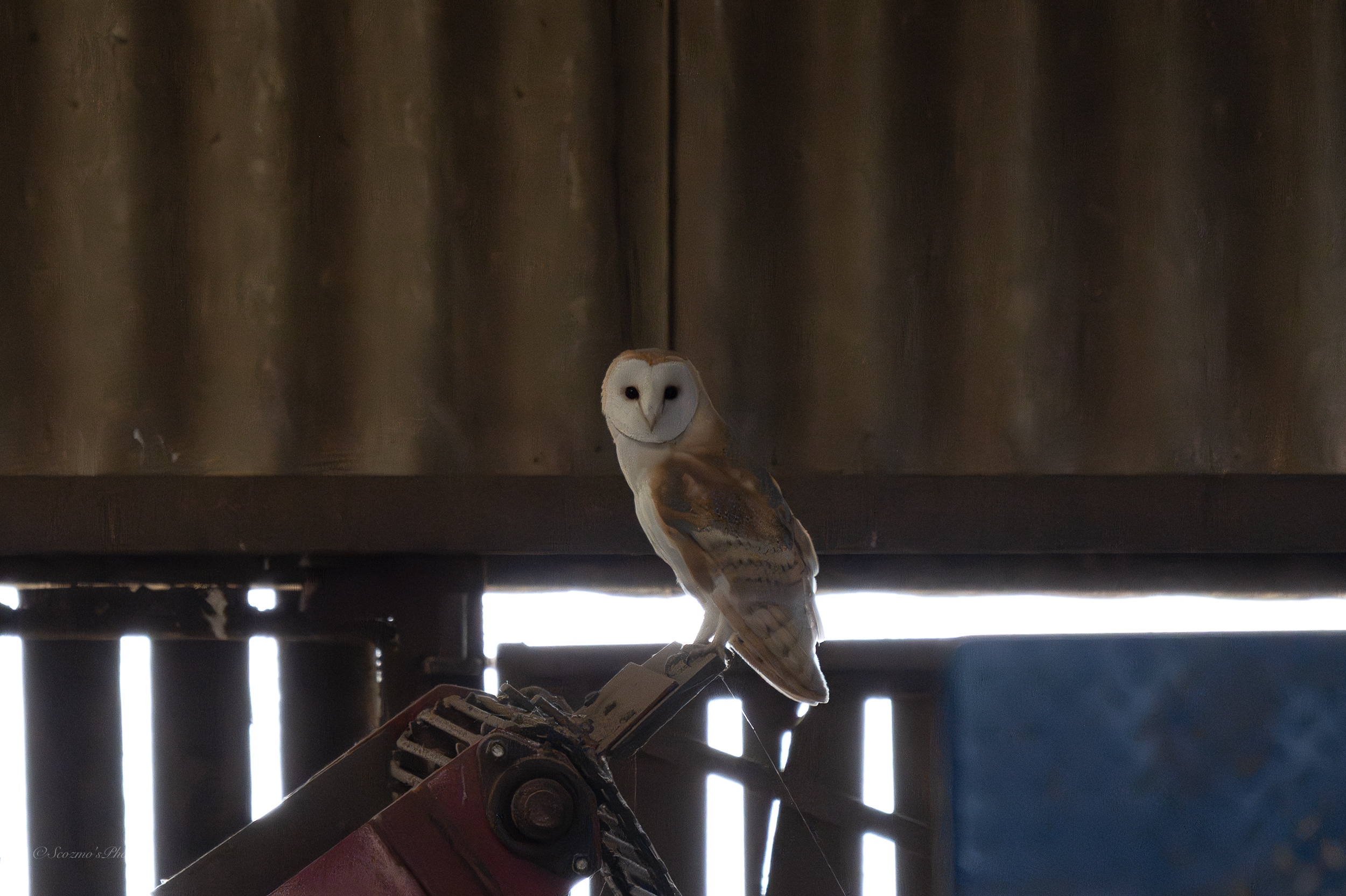 One of the eventful&nbsp;walks