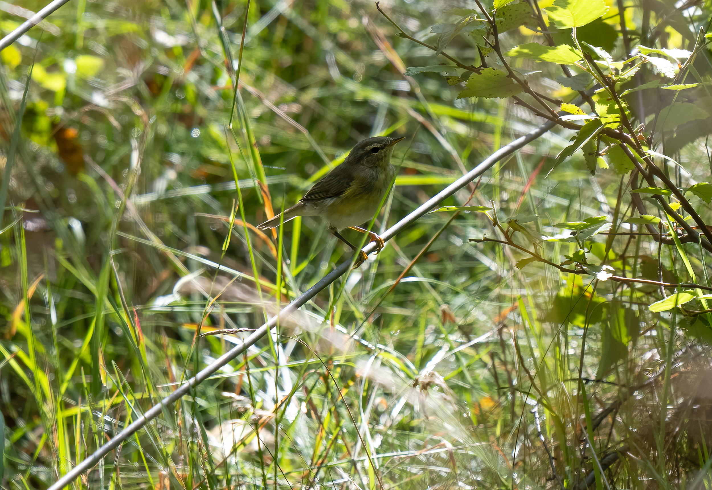 August and all that Pt.&nbsp;3