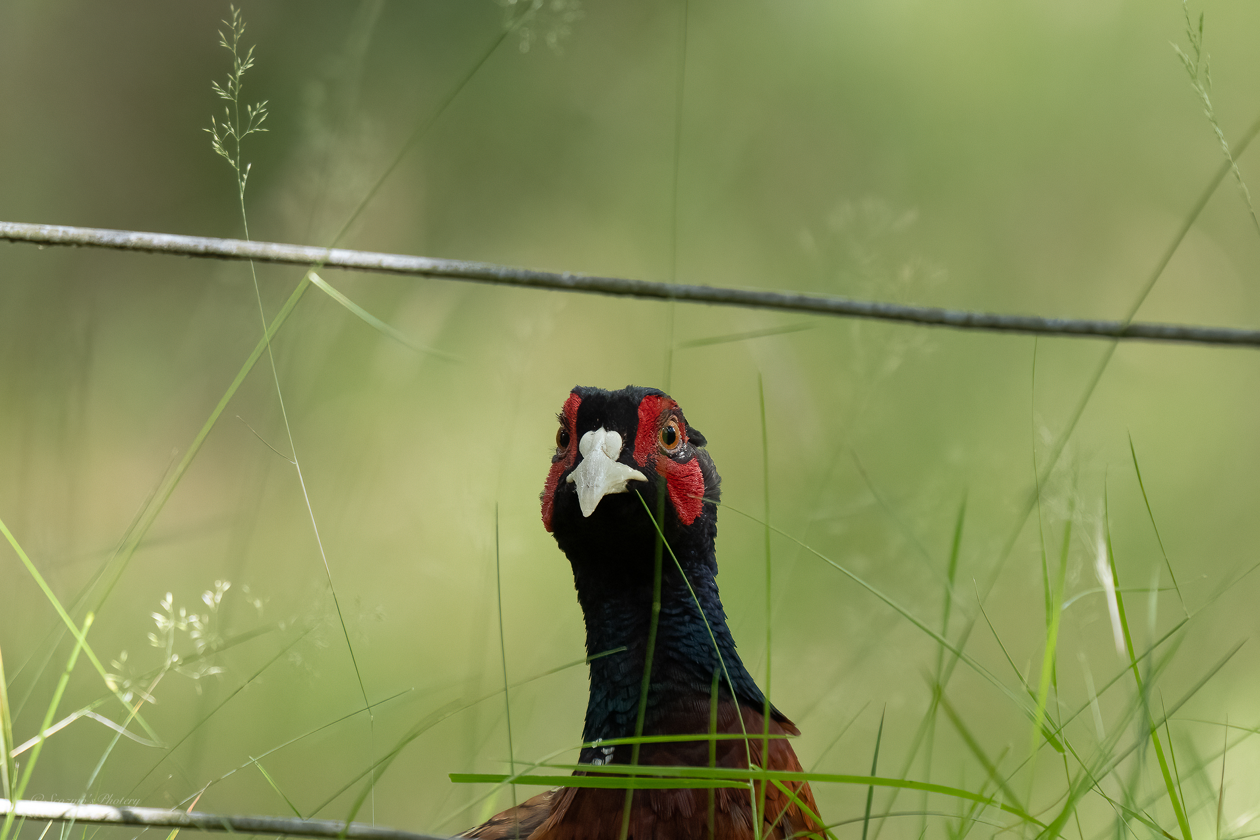 August and all that Pt.&nbsp;5