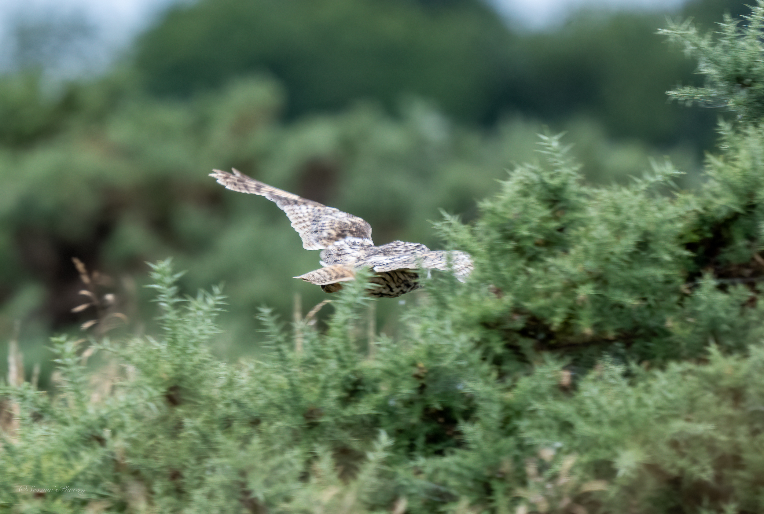 And then one evening&nbsp;…