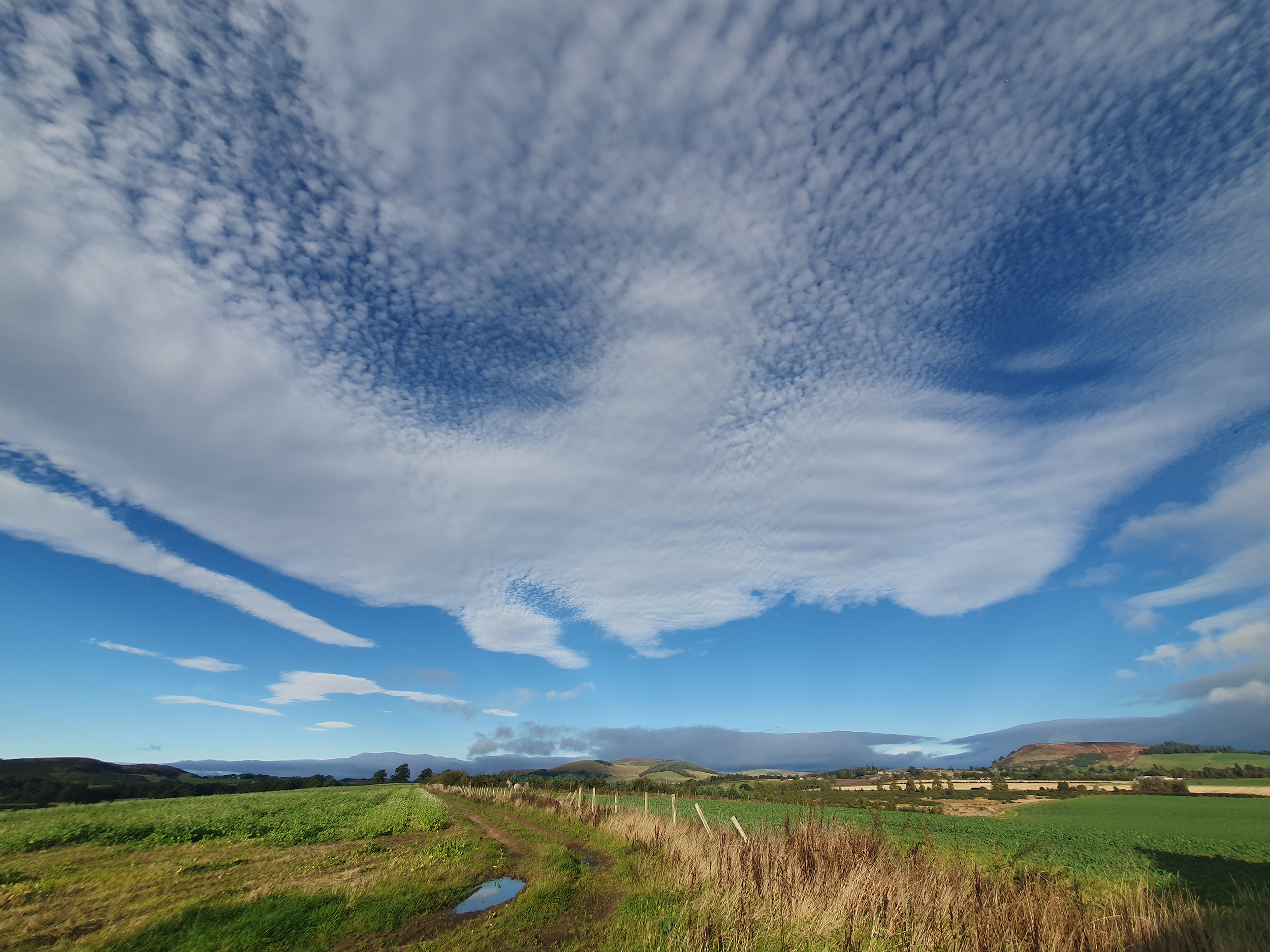 Monday Morning Stroll