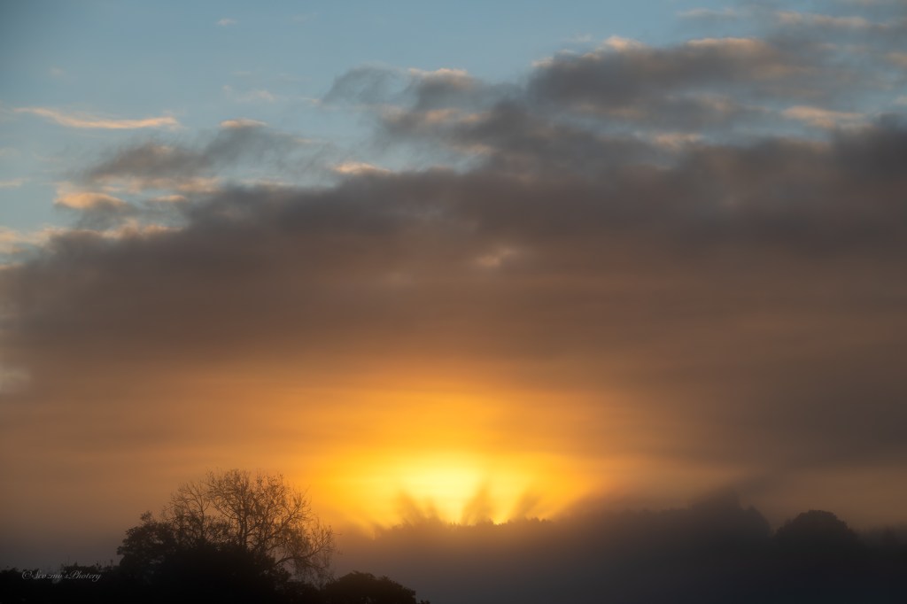 This image has an empty alt attribute; its file name is 20251012-07-58-sunrise-through-trees.jpg