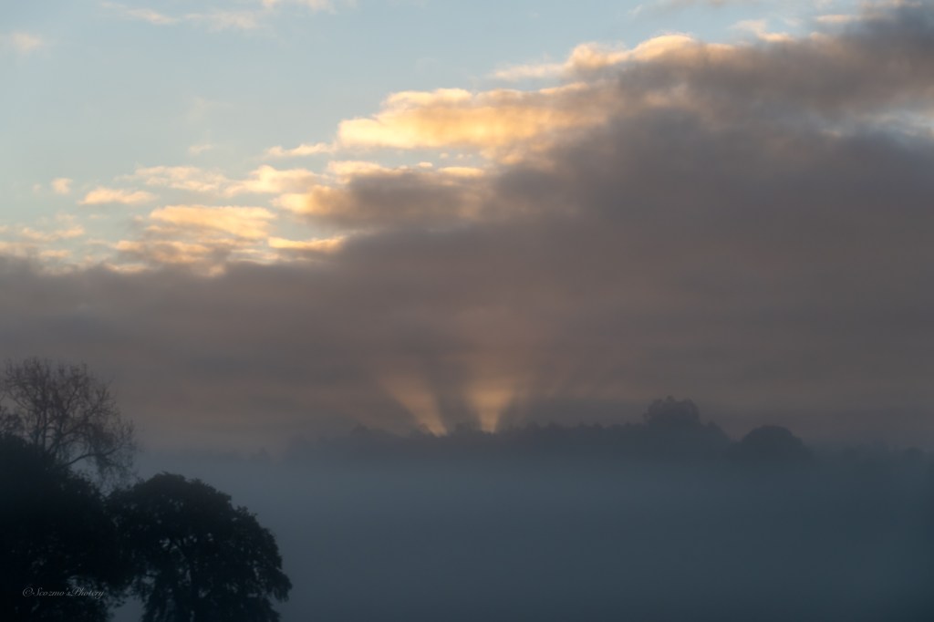 This image has an empty alt attribute; its file name is 20251012-08-01-sunrise-through-trees-almost-done.jpg