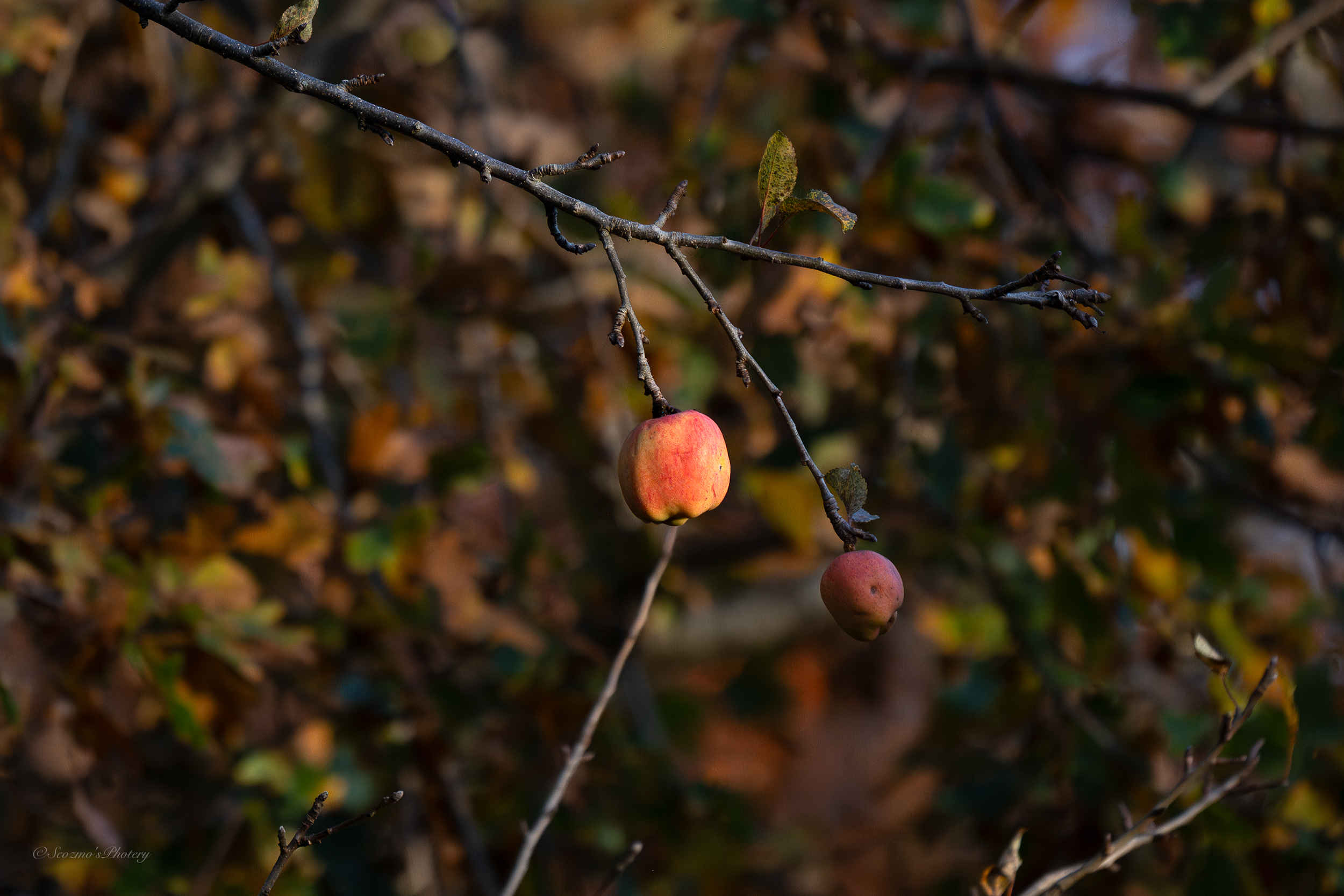 Weekly Digest Weekly Digest