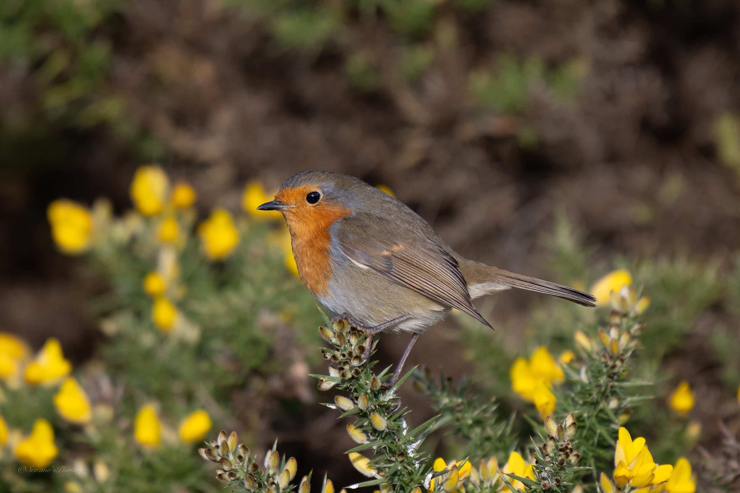 Weekly Digest Weekly Digest