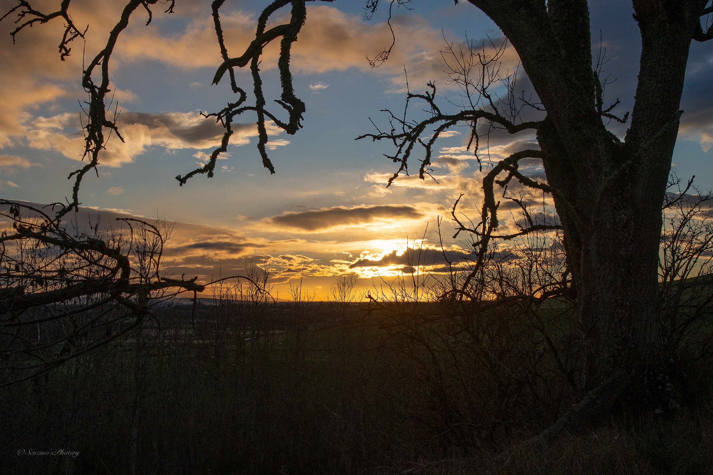 Weekly Digest Weekly Digest