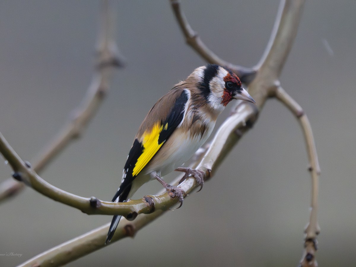 Dreich days of&nbsp;December