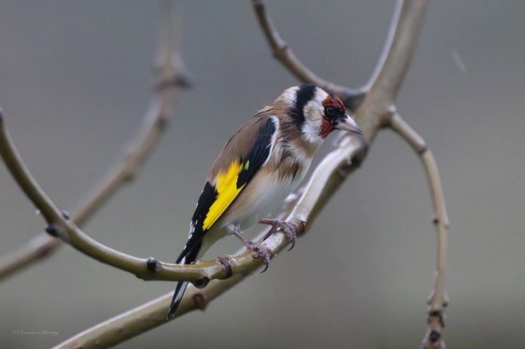 Dreich days of&nbsp;December