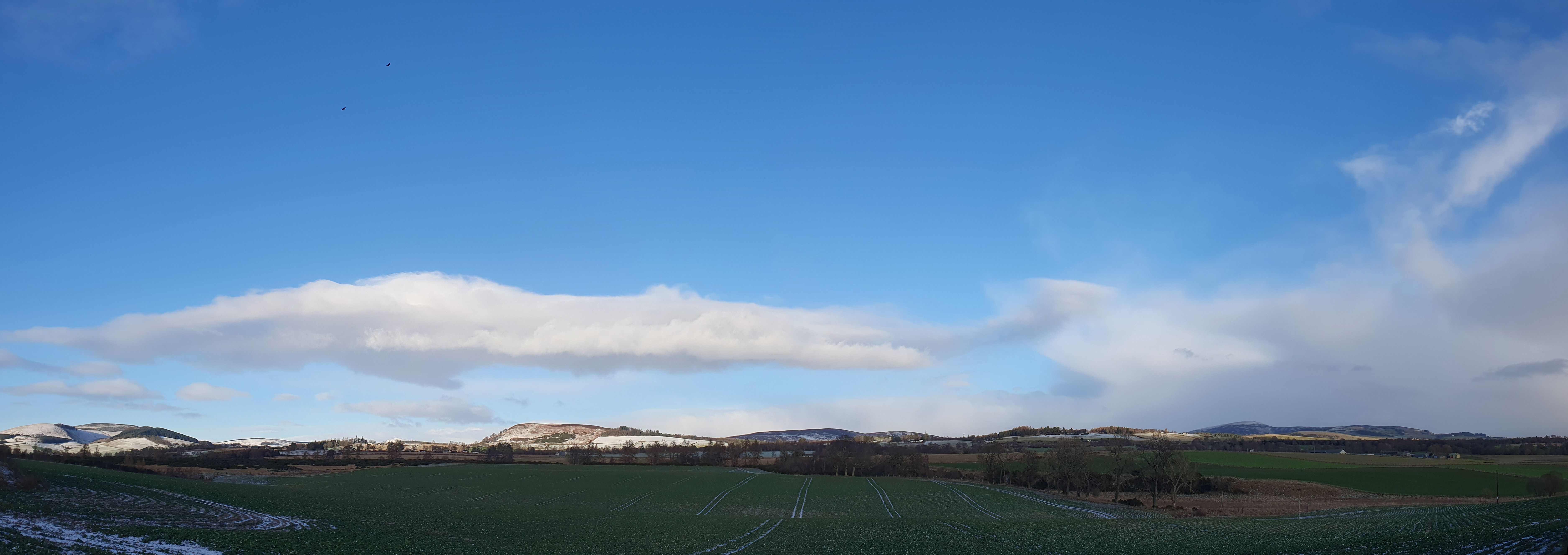 January around the&nbsp;patch