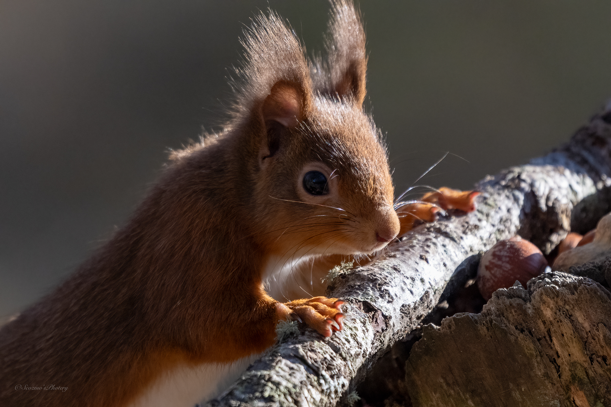 First of the&nbsp;year!