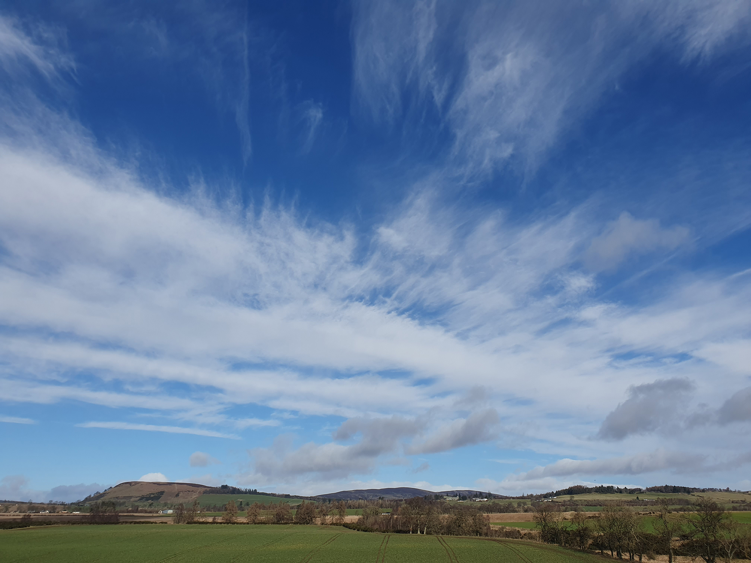 A good day for a&nbsp;walk