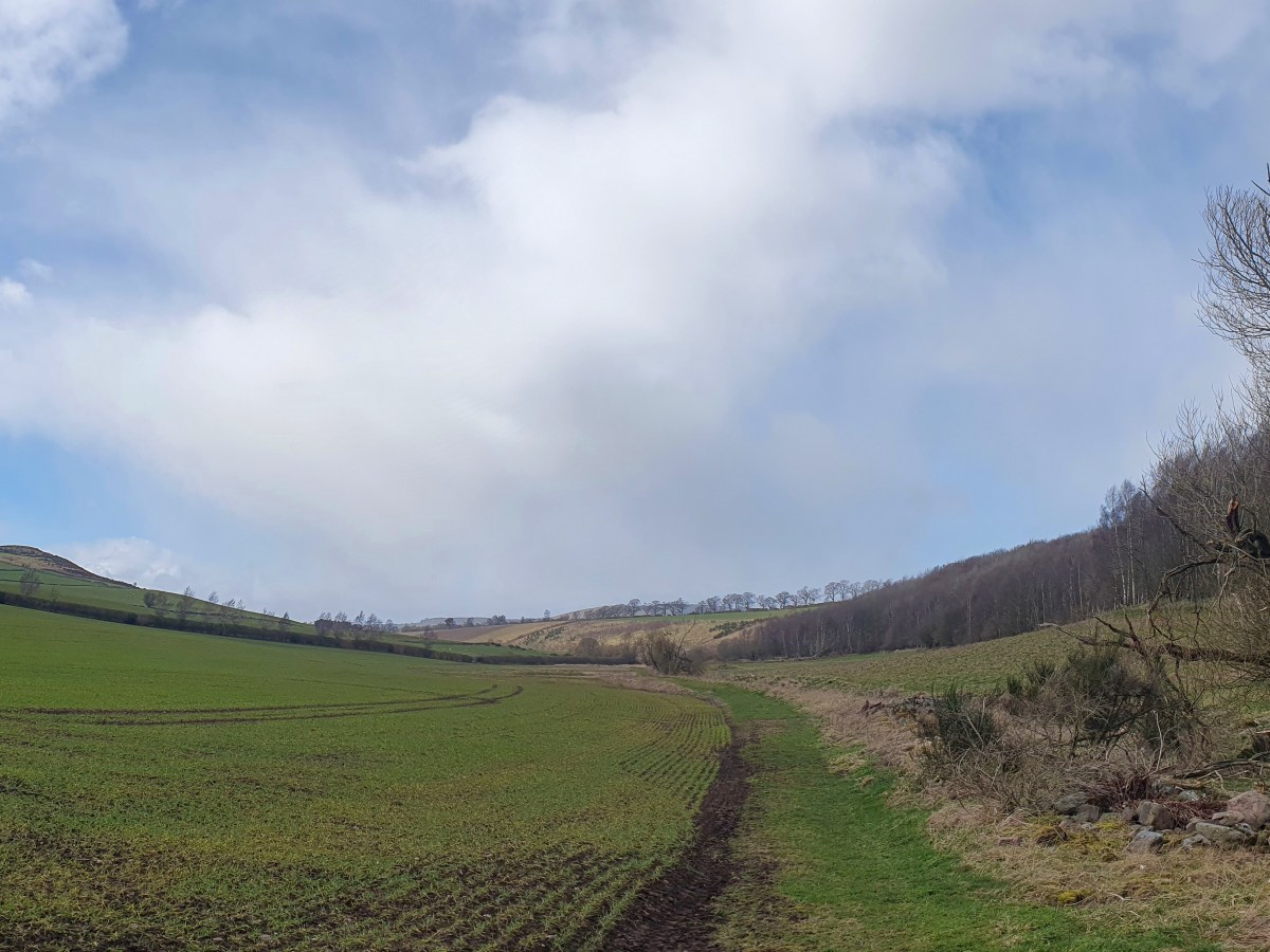 A Good Day for a&nbsp;Walk