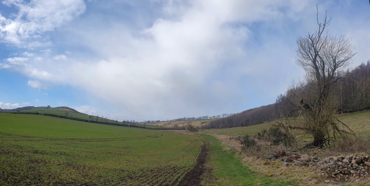 A Good Day for a&nbsp;Walk
