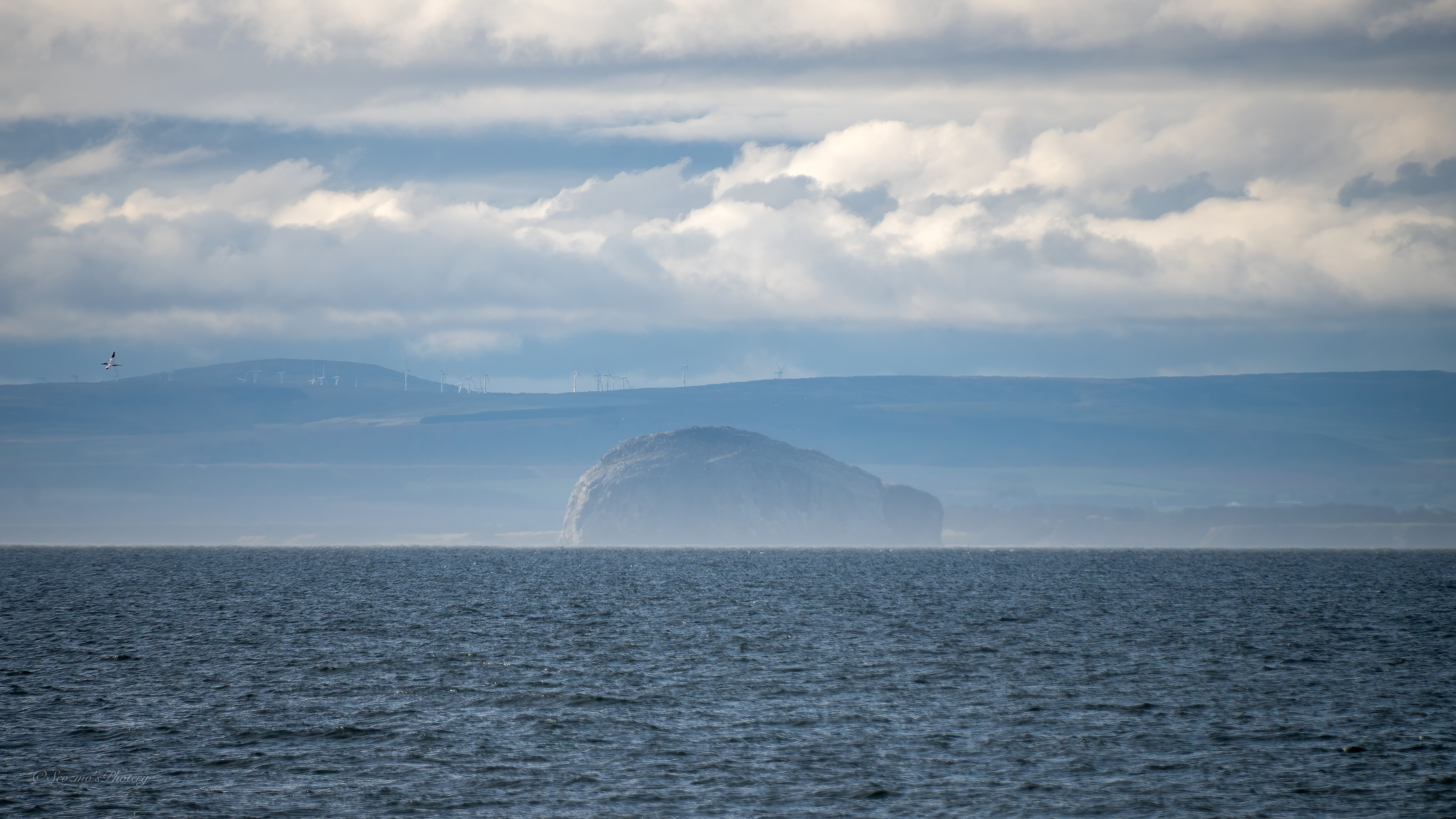 Birding walks in&nbsp;Fife