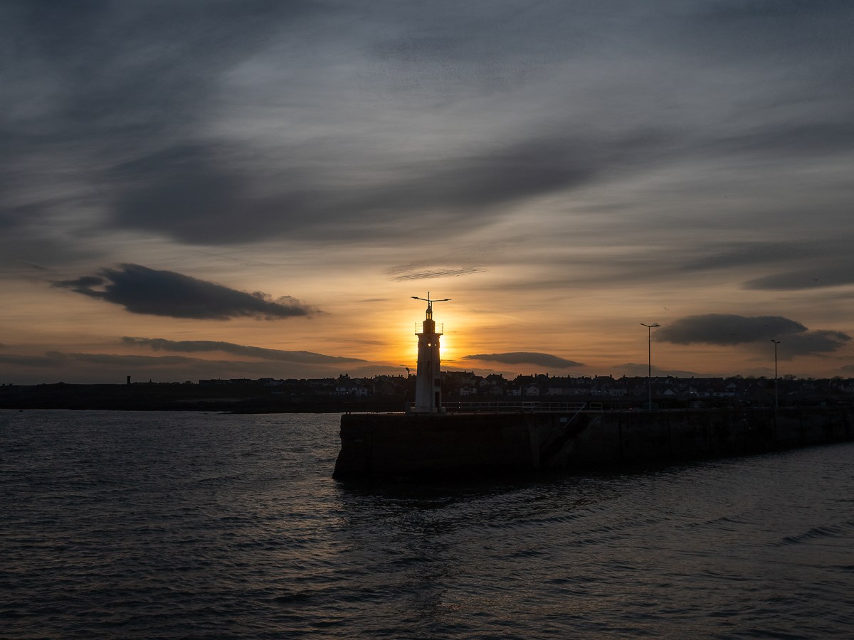 Birding walks in&nbsp;Fife