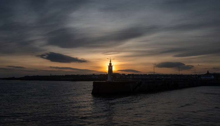 Birding walks in&nbsp;Fife