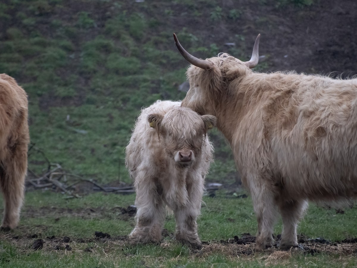 A Coast Walk in&nbsp;Fife