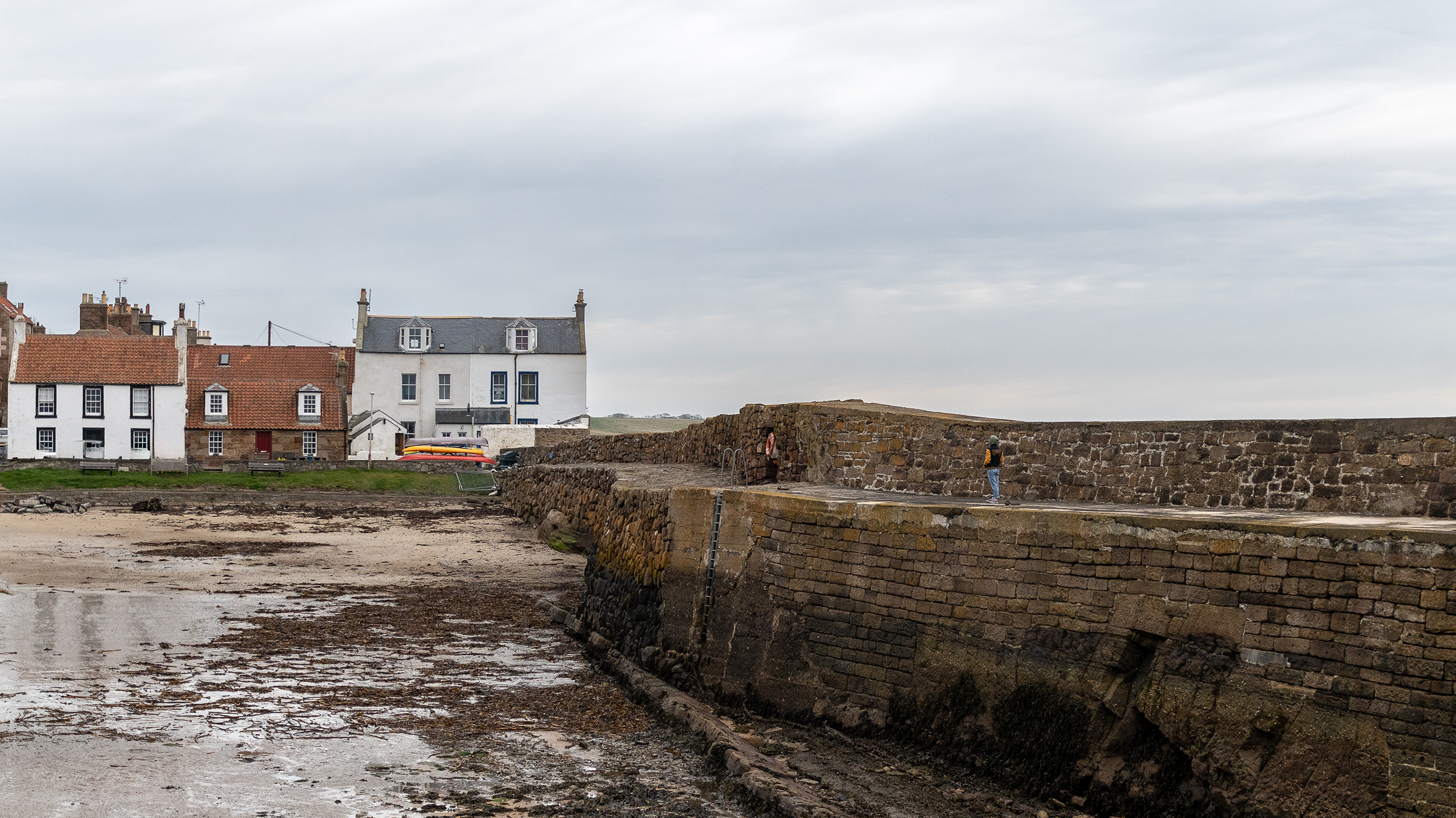 Birding Walks in&nbsp;Fife