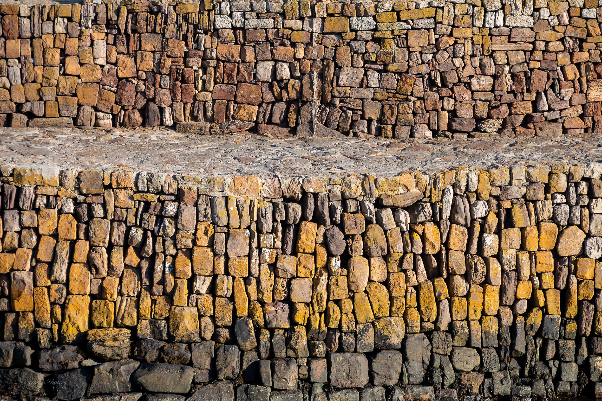 Cellardyke in September