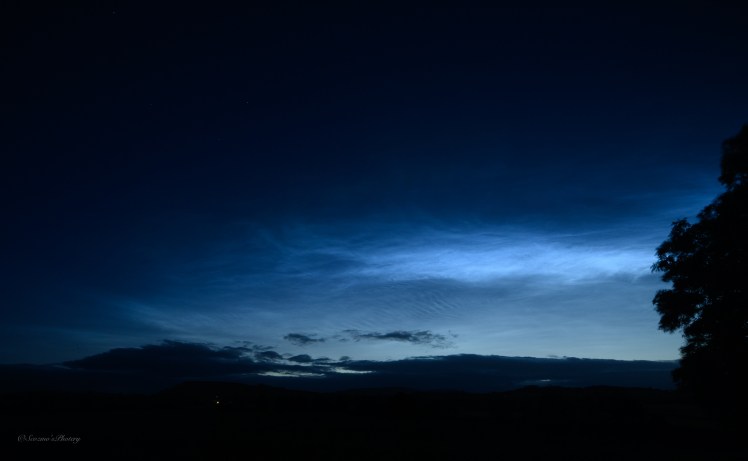 Noctilucent displays for June&nbsp;2026