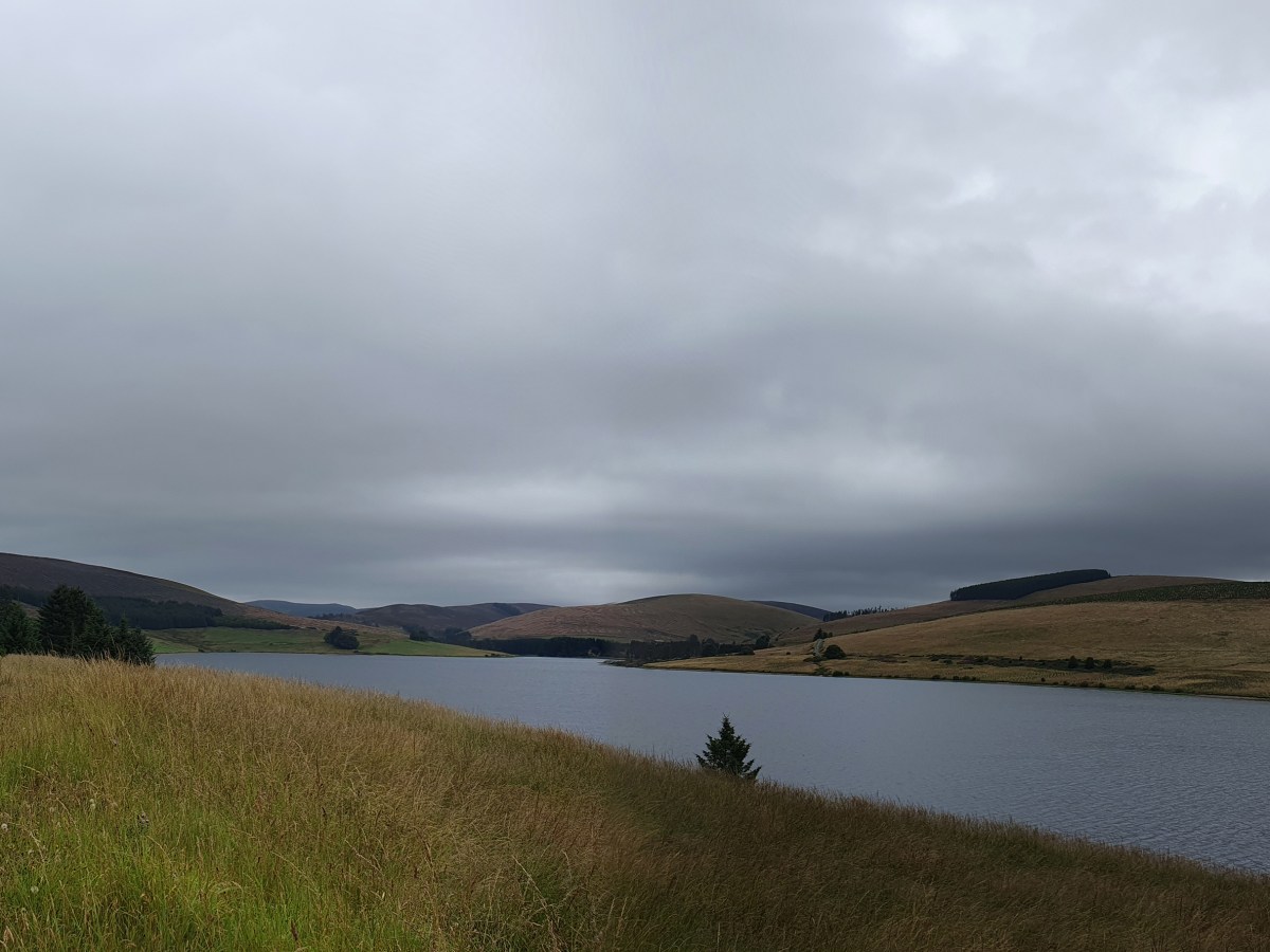 A trip to the&nbsp;reservoir